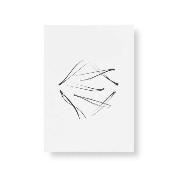 Teemu Jarvi (�ơ��ࡦ������) �ݥ����� A5 PINE NEEDLES (����) �̲�/����ƥꥢ/������������Ź�ʡڥ᡼���ء�