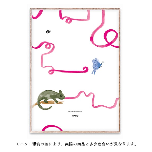 ڥڡоݡۡڤ󤻡Paper CollectiveMADO (ޥ) ݥ 5070cm Friends Charlie The Chameleon̵