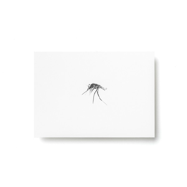 Teemu Jarvi (�ơ��ࡦ������) �ݥ��ȥ����� A6 MOSQUITO (��) �̲�/����ƥꥢ/������������Ź��/�ݥ������ڥ᡼���ء�