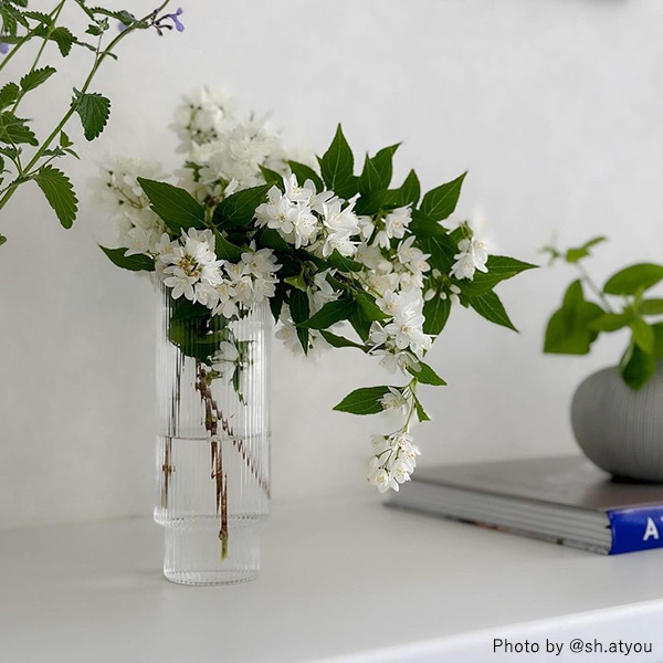 �ڹ���߸ˤ����Ferm Living (�ե������ӥ�) Ripple Long Drink Glasses (��åץ� ���󥰥��饹) 4�ĥ��å� ���ꥢ/���⡼�����졼/�ե����� �̲�/����ƥꥢ/������������Ź��