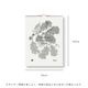 Teemu Jarvi (�ơ��ࡦ������) �������� The Heart of the Forest 2026 30��40cm �̲�/����ƥꥢ/�ɳݤ�/������������Ź��