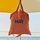 HAY TOTE BAG 2Way���� ���� �������֥롼 �ޥå��� ���������꡼�� �֥�å���ԥ� �С���ȥ���� �������ץ�� �إ� �ȡ��ȥХå�