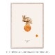 ڥڡоݡۡڤ󤻡Paper CollectiveMADO (ޥ) ݥ 5070cm Friends Rocky The Rabbit̵