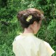 Pico (�ԥ�) �إ��ԥ� Leaf Hair Pin �̲�/�إ����������꡼ �ڥ᡼���ء�