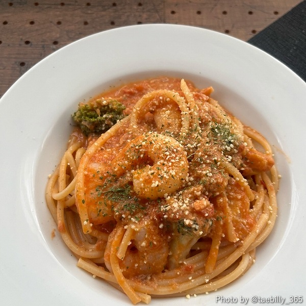 SOLLEONE Bio (���롦�쥪���ͥӥ�) �������˥å����ѥ��������� ͭ���ѥ���������