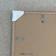 ڥڡоݡPaper Collective (ڡѡ쥯ƥ) ե졼/ 5070 ꡼ ̲/ƥꥢ//Ź