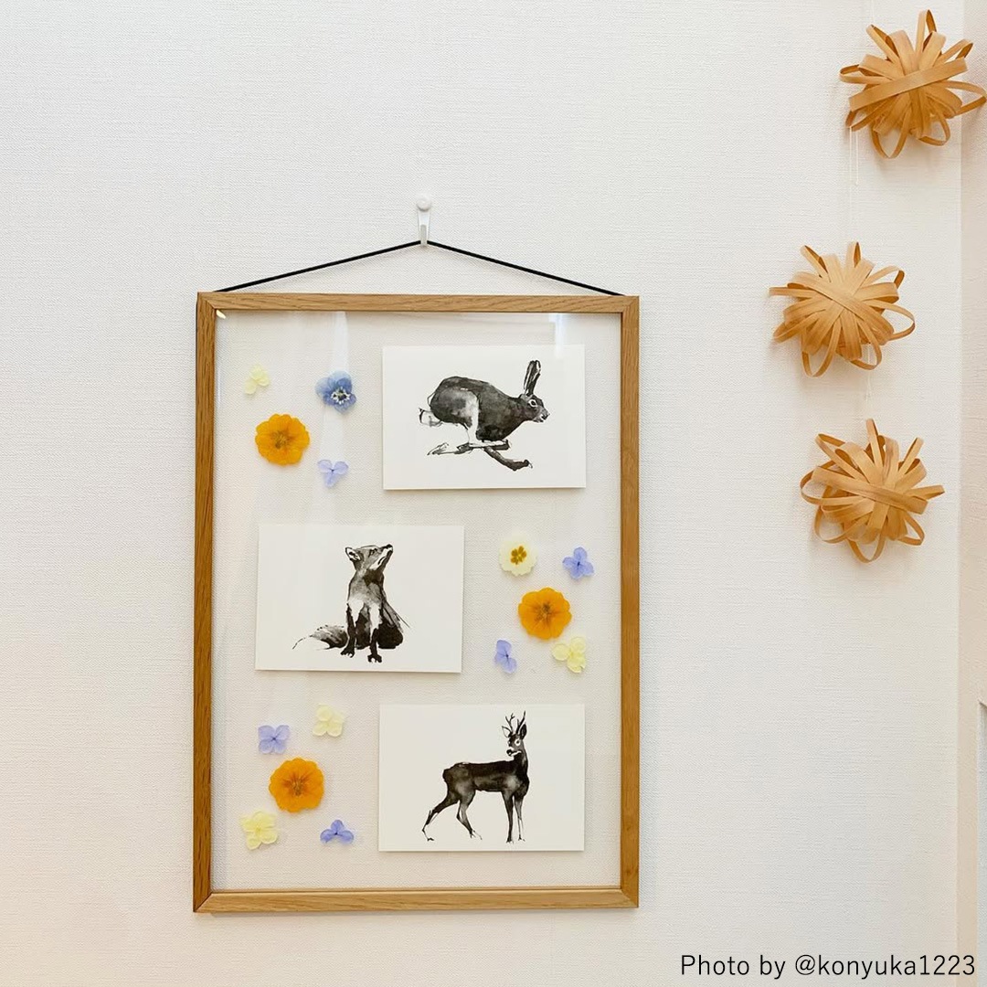 Teemu Jarvi (�ơ��ࡦ������) �ݥ��ȥ����� A6 ROE DEER (�Υ�����) �̲�/����ƥꥢ/������������Ź��/�ݥ������ڥ᡼���ء�