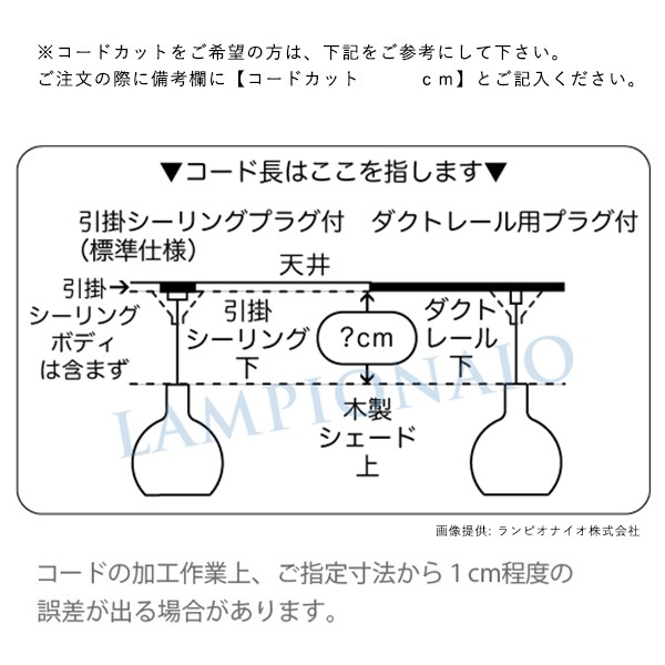 secto designʥȥǥSECTO4200 ڥȥ饤Ⱦ 顼緿