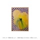 ڥڡоݡۡڤ󤻡Paper Collective (ڡѡ쥯ƥ) ݥ A4 Flower with Checks 02 ̲/ƥꥢ//Źʡڿǥ