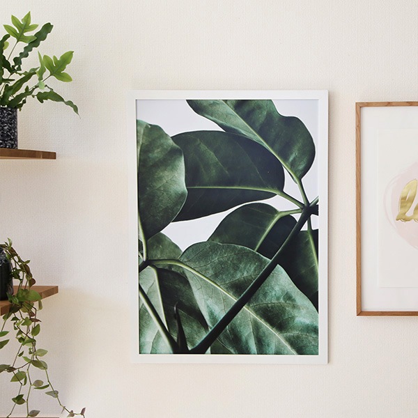ڥڡоݡۡڤ󤻡Paper Collective (ڡѡ쥯ƥ) ݥ 5070 Green home 01 (꡼ۡ) ̲/ƥꥢ/Ź̵