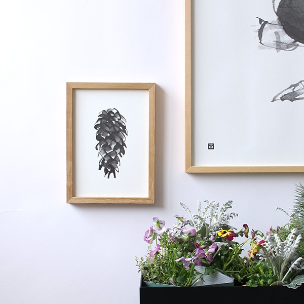 ڥڡоݡPaper Collective (ڡѡ쥯ƥ) ե졼/ A5  ̲/ƥꥢ/ݥ/