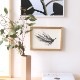 ڥڡоݡPaper Collective (ڡѡ쥯ƥ) ե졼/ A5  ̲/ƥꥢ/ݥ/