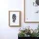 ڥڡоݡPaper Collective (ڡѡ쥯ƥ) ե졼/ A5  ̲/ƥꥢ/ݥ/