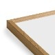 ڥڡоݡPaper Collective (ڡѡ쥯ƥ) ե졼/ A5  ̲/ƥꥢ/ݥ/