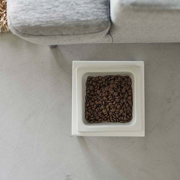 �ڤ����󤻡ۻ���¶� tower �ڥåȥա��ɥܥ��륹����� �ȡ��� �ۥ磻��/�֥�å�