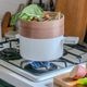 KUKUNA KITCHEN ����������������ξ���� 20cm SEIRO�� ���������� ������ �� �饻�å� IH�б� �������� ξ���� �������դ� ������� �ѥ� ���������� �쥷���դ� �����ʥ��å���ڤ����󤻡�