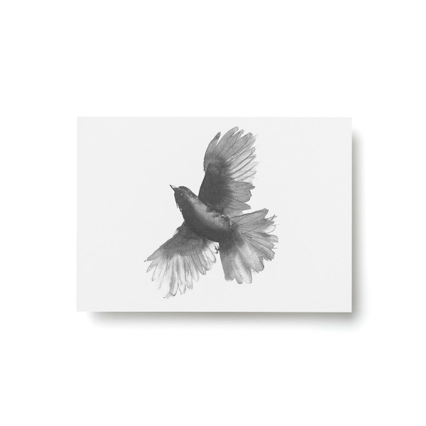 Teemu Jarvi (�ơ��ࡦ������) �ݥ��ȥ����� A6 SIBERIAN JAY (������������) �̲�/����ƥꥢ/������������Ź��/�ݥ������ڥ᡼���ء�