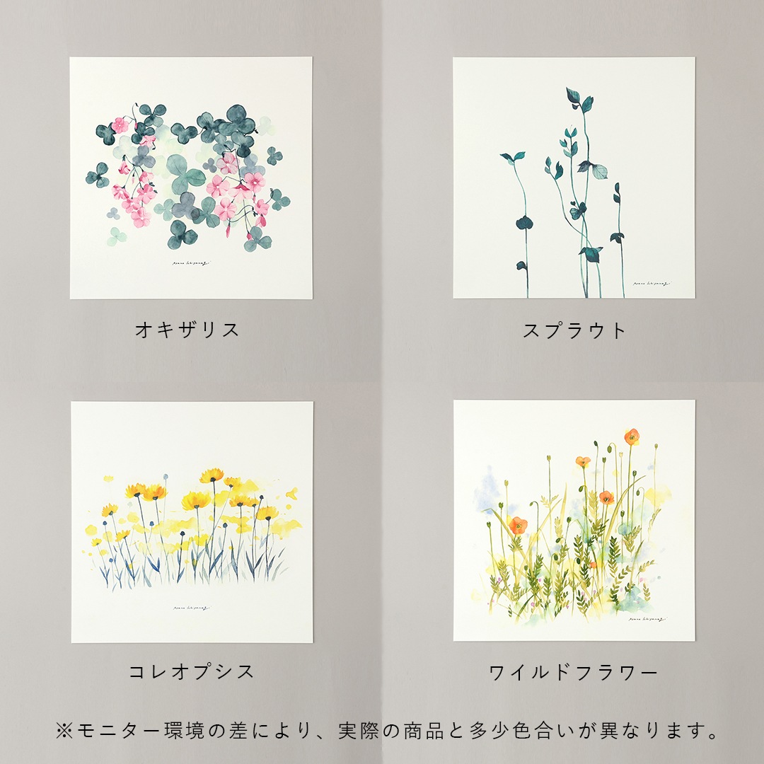 a good view ポスター 30×30 一柳綾乃 コレオプシス オキザリス