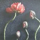 ڥڡоݡۡڤ󤻡Paper Collective (ڡѡ쥯ƥ) ݥ 5070 Still Life 02 (ƥ饤ա˥ݥԡ ̲/ƥꥢ/Ź ̵