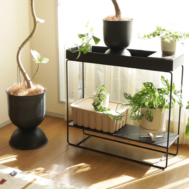 �ڤ����󤻡�Ferm Living (�ե������ӥ�) Paper Pulp Box�ʥڡ��ѡ��ѥ�ץܥå����� ���ĥ��å� L �̲�/����ƥꥢ/��Ǽ/������������Ź