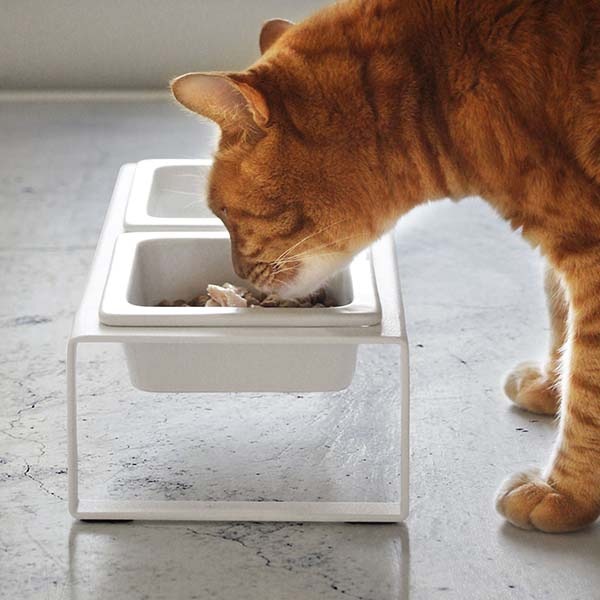 �ڤ����󤻡ۻ���¶� tower �ڥåȥա��ɥܥ��륹����� ���å� �ȡ��� �ۥ磻��/�֥�å�