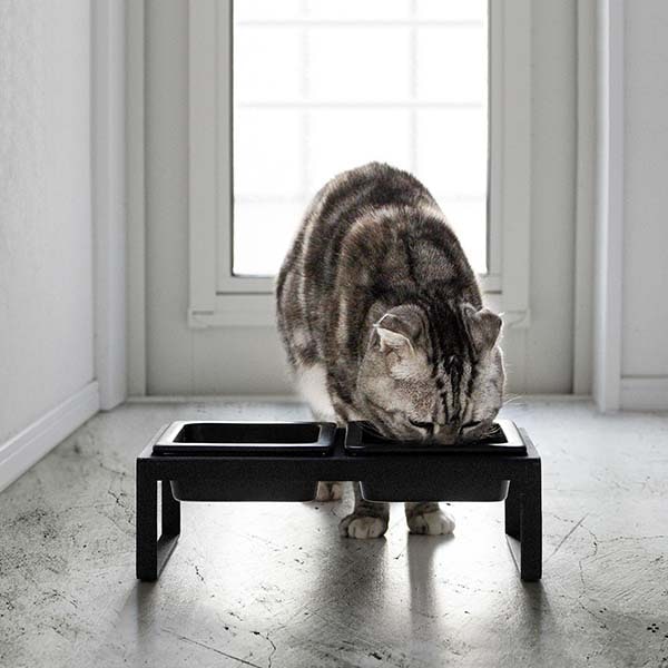 �ڤ����󤻡ۻ���¶� tower �ڥåȥա��ɥܥ��륹����� ���å� �ȡ��� �ۥ磻��/�֥�å�