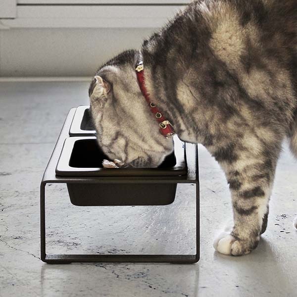 �ڤ����󤻡ۻ���¶� tower �ڥåȥա��ɥܥ��륹����� ���å� �ȡ��� �ۥ磻��/�֥�å�