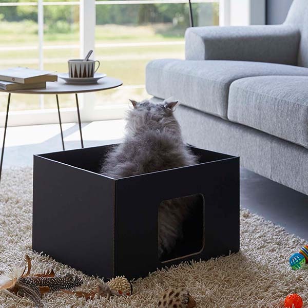 佪λ50%OFFۻ¶ tower åȥܥå2ĥå ۥ磻/֥å