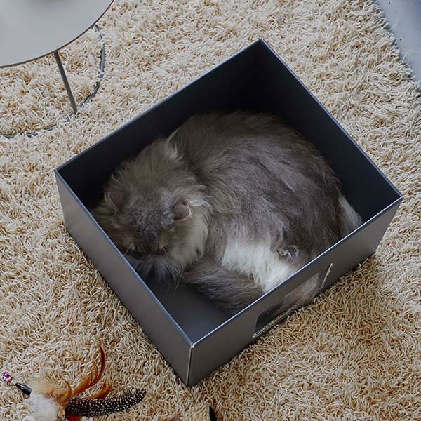 佪λ50%OFFۻ¶ tower åȥܥå2ĥå ۥ磻/֥å