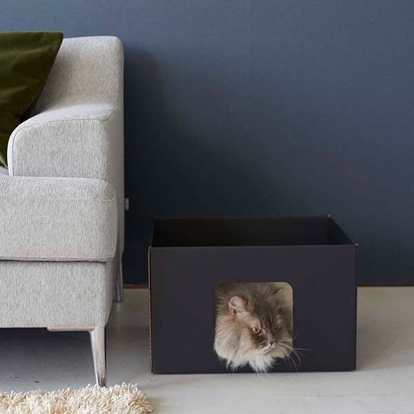 佪λ50%OFFۻ¶ tower åȥܥå2ĥå ۥ磻/֥å