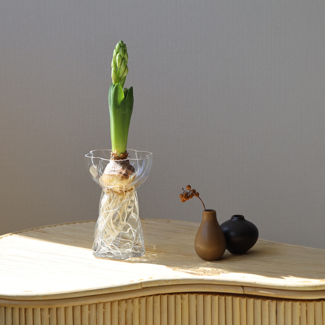 Cooee Design (���������ǥ�����) Twist Bulb Glass Vase (�ĥ����� �Х�֥��饹�١���) �̲�/����ƥꥢ/����/�庬/������������Ź��