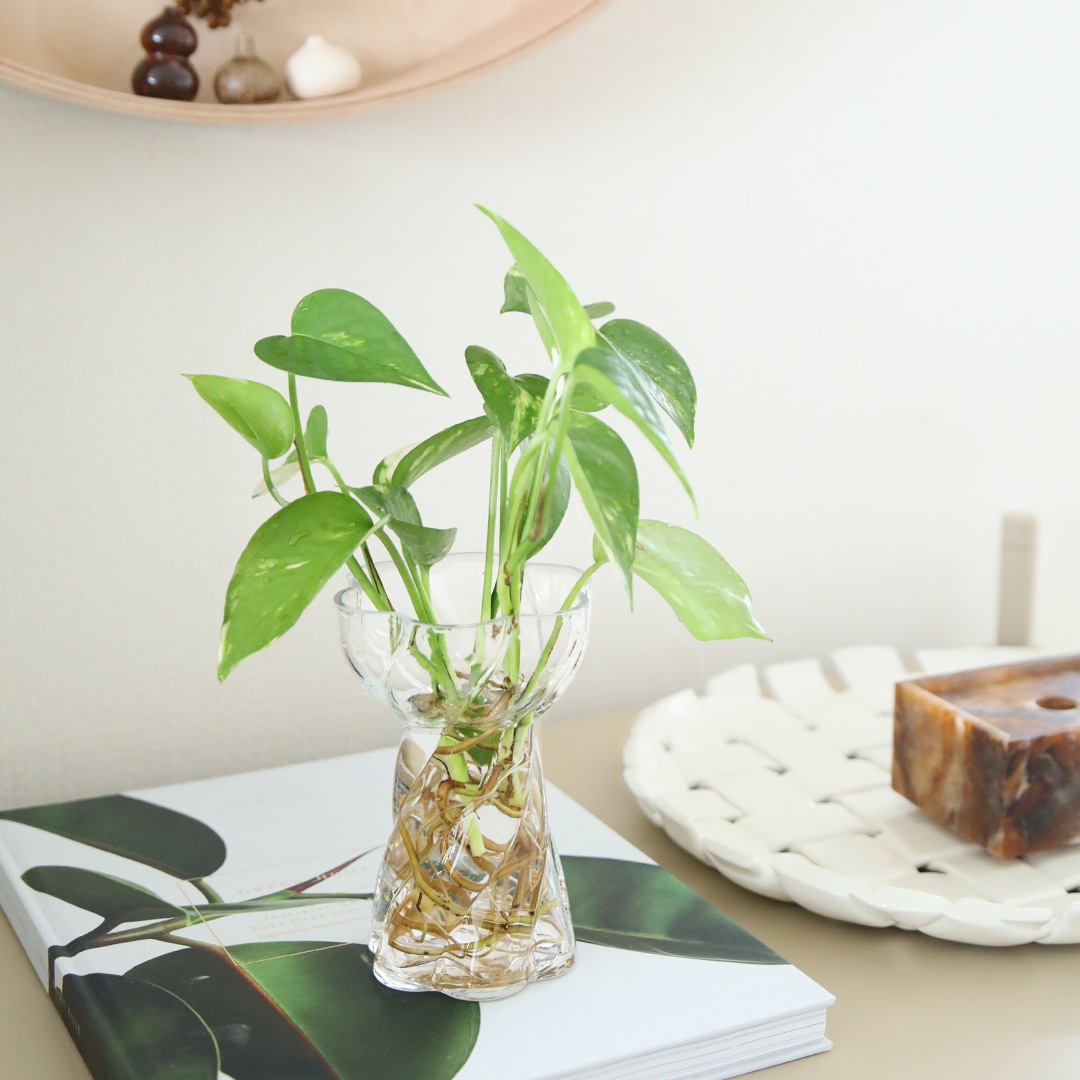 Cooee Design (���������ǥ�����) Twist Bulb Glass Vase (�ĥ����� �Х�֥��饹�١���) �̲�/����ƥꥢ/����/�庬/������������Ź��