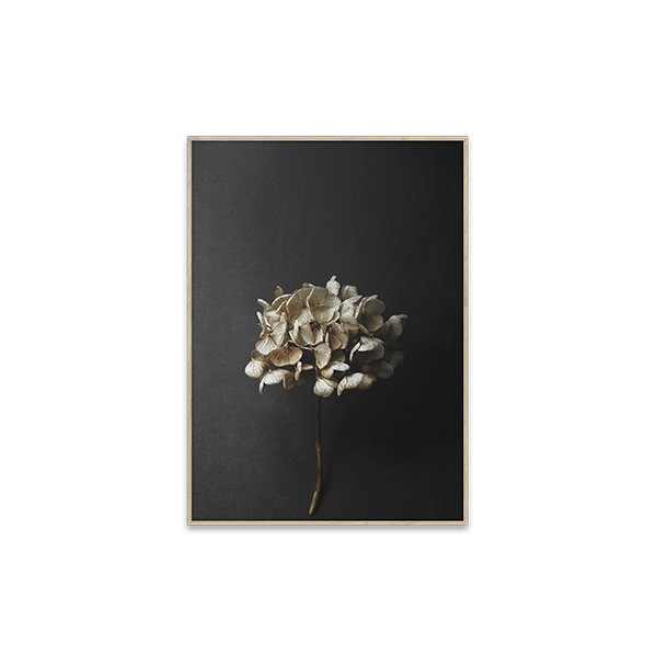 ڥڡоݡۡڤ󤻡Paper Collective (ڡѡ쥯ƥ) ݥ 3040 Still Life 04 (ƥ饤աˤ ̲/ƥꥢ