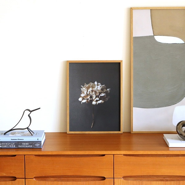 ڥڡоݡۡڤ󤻡Paper Collective (ڡѡ쥯ƥ) ݥ 3040 Still Life 04 (ƥ饤աˤ ̲/ƥꥢ