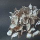 ڥڡоݡۡڤ󤻡Paper Collective (ڡѡ쥯ƥ) ݥ 3040 Still Life 04 (ƥ饤աˤ ̲/ƥꥢ