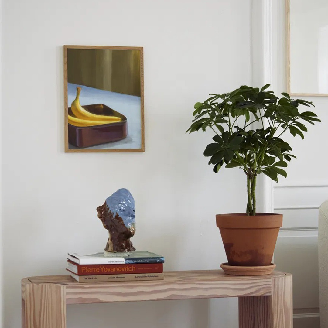 �ڥ����ڡ����оݡۡڤ����󤻡�Paper Collective (�ڡ��ѡ����쥯�ƥ���) �ݥ����� ��30��40�� Banana �̲�/����ƥꥢ/������/������������Ź��