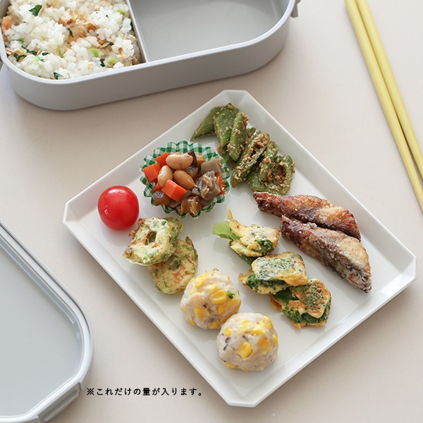 GEL-COOL (�����륯����) �ɡ��� ����ް��η������ܥå��� L �������������졼 ������Ȣ/����/������/�˻�