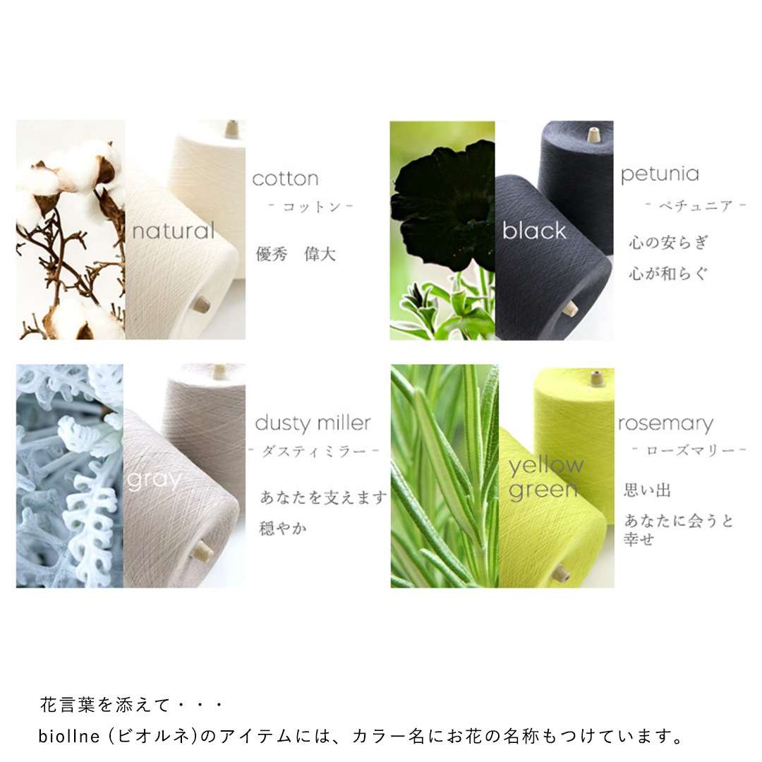 biollne (�ӥ����) �������˥å����åȥ���ͤΥ��������å��� ���⡼�����ԥ�/�١�����/�ʥ�����/���졼/�����������꡼��/�֥�å� ���� �ڥ᡼���ءۡ���������եȡ�