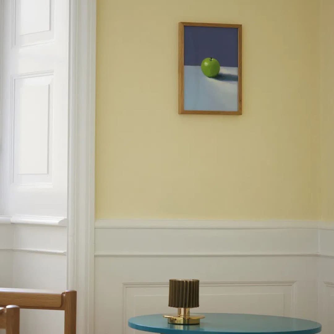 �ڥ����ڡ����оݡۡڤ����󤻡�Paper Collective (�ڡ��ѡ����쥯�ƥ���) �ݥ����� ��A4�� Apple �̲�/����ƥꥢ/������/������������Ź��