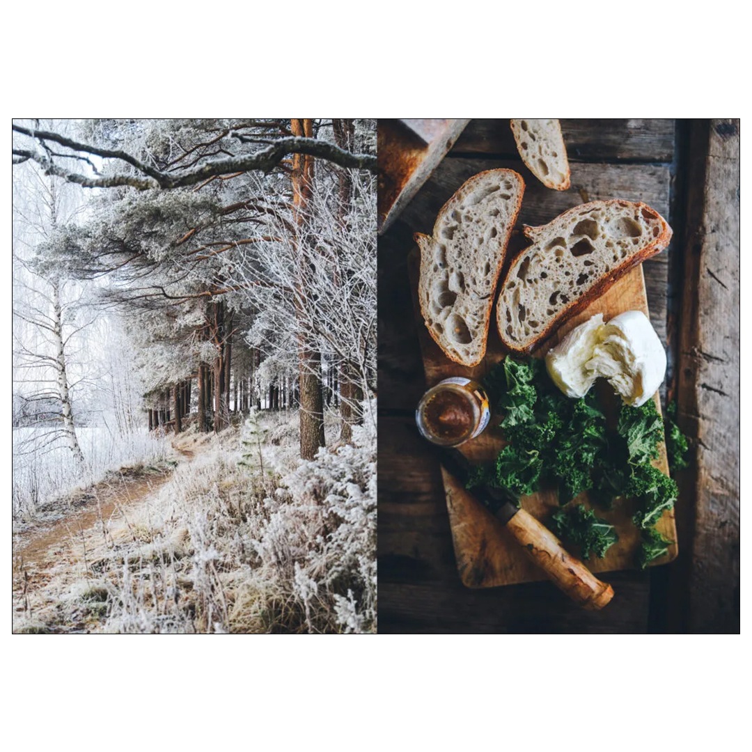 COZY PUBLISHING (���������ѥ֥�å���) Food Over the Campfire �̲�/�ե������/��/����ƥꥢ����������եȡ�