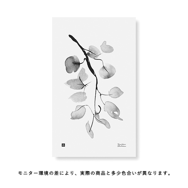 Teemu Jarvi (�ơ��ࡦ������) �ݥ����� 30��50cm BIRCH BRANCH�ʥС����֥������̲�/����ƥꥢ/������������Ź��