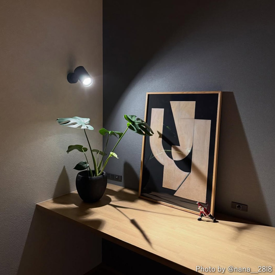 �ڥ����ڡ����оݡۡڤ����󤻡�Paper Collective (�ڡ��ѡ����쥯�ƥ���) �ݥ�������50��70��Embrace �̲�/����ƥꥢ/������/������������Ź��