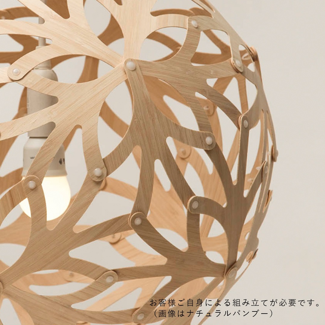 �ڤ����󤻡� DAVID TRUBRIDE FLORAL�ե������ 400 �������ɥ��顼�ʥۥ磻��/�֥�å��ˡ�����