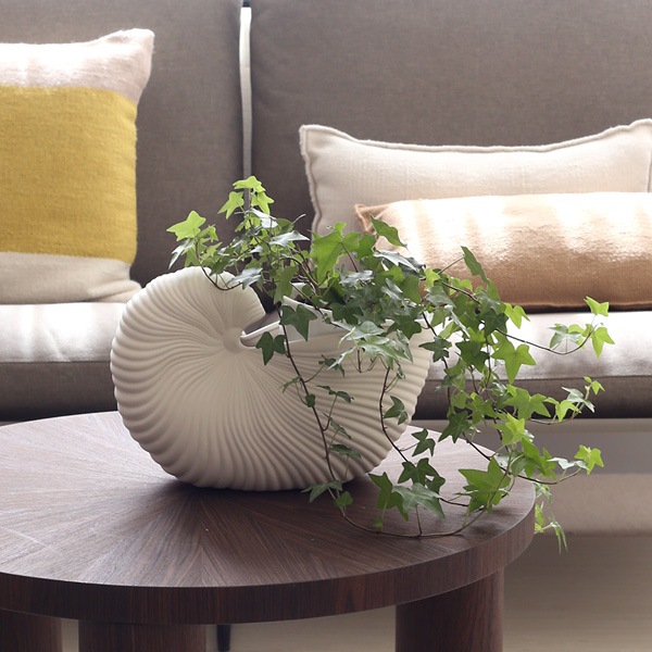 �ڤ����󤻡�Ferm Living (�ե������ӥ�)  Shell Pot(������ݥå�) ���եۥ磻�� �̲�/����ƥꥢ/����/�ե��١���/ȭ