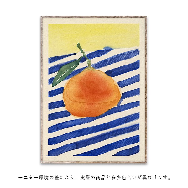 ڥڡоݡۡڤ󤻡Paper Collective (ڡѡ쥯ƥ) ݥ 5070 Orange ̲/ƥꥢ//Ź