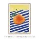 ڥڡоݡۡڤ󤻡Paper Collective (ڡѡ쥯ƥ) ݥ 5070 Orange ̲/ƥꥢ//Ź