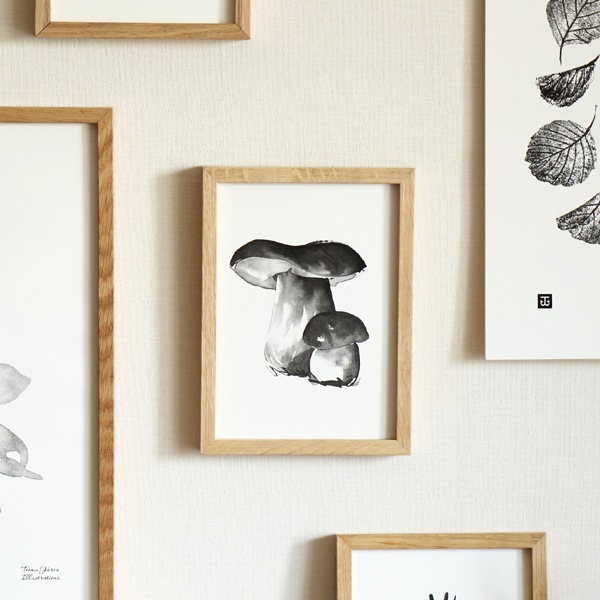 ��50%OFF��Teemu Jarvi (�ơ��ࡦ������) �ݥ����� A5 PORCINI MUSHROOM �ʥݥ���������� �̲�/����ƥꥢ/������������Ź�ʡڥ᡼���ء�