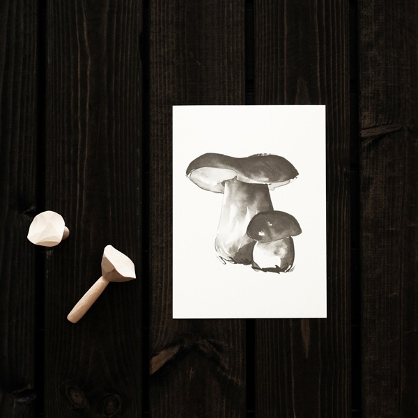 ��50%OFF��Teemu Jarvi (�ơ��ࡦ������) �ݥ����� A5 PORCINI MUSHROOM �ʥݥ���������� �̲�/����ƥꥢ/������������Ź�ʡڥ᡼���ء�