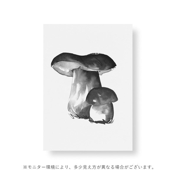 ��50%OFF��Teemu Jarvi (�ơ��ࡦ������) �ݥ����� A5 PORCINI MUSHROOM �ʥݥ���������� �̲�/����ƥꥢ/������������Ź�ʡڥ᡼���ء�