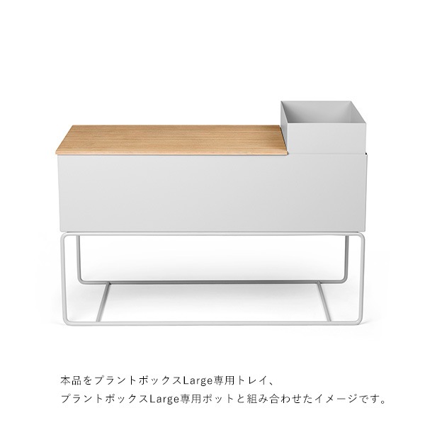��30%OFF��Ferm Living Plant Box �ץ��ȥܥå��� Large �饤�ȥ��졼 �̲� ����ƥꥢ �ȶ� �ե������ӥ� ������������Ź�ʡ�����̵����